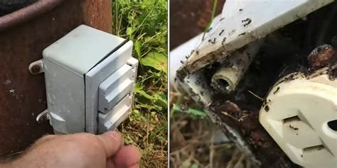 filling space around external electric box to keep insects out|how to keep bugs out of outlets.